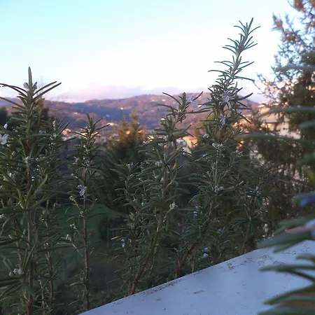 Montecatini-terme Near Firenze, Lucca, Pisa Appartement Montecatini Terme